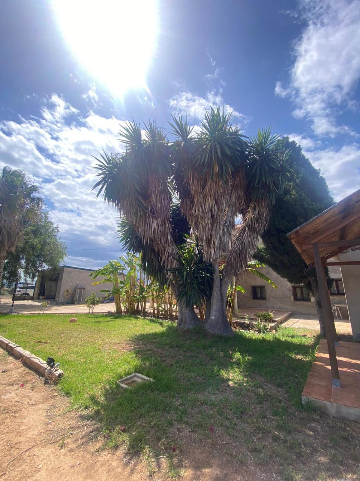 Los Almendros Torrenostra Bagian luar foto