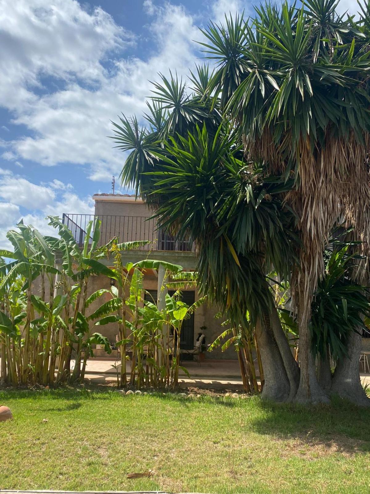 Los Almendros Torrenostra Bagian luar foto