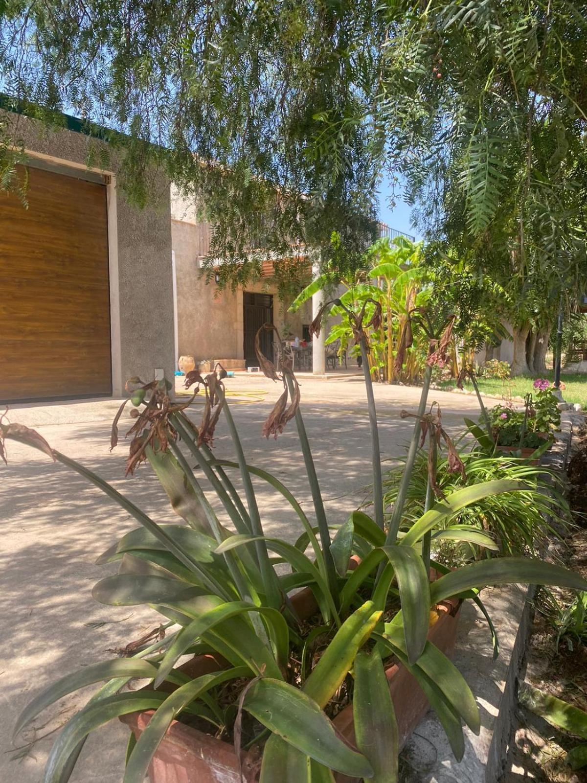 Los Almendros Torrenostra Bagian luar foto