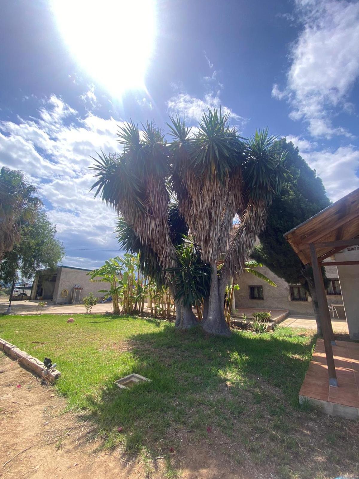 Los Almendros Torrenostra Bagian luar foto